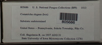 Image Associated With the Occurence